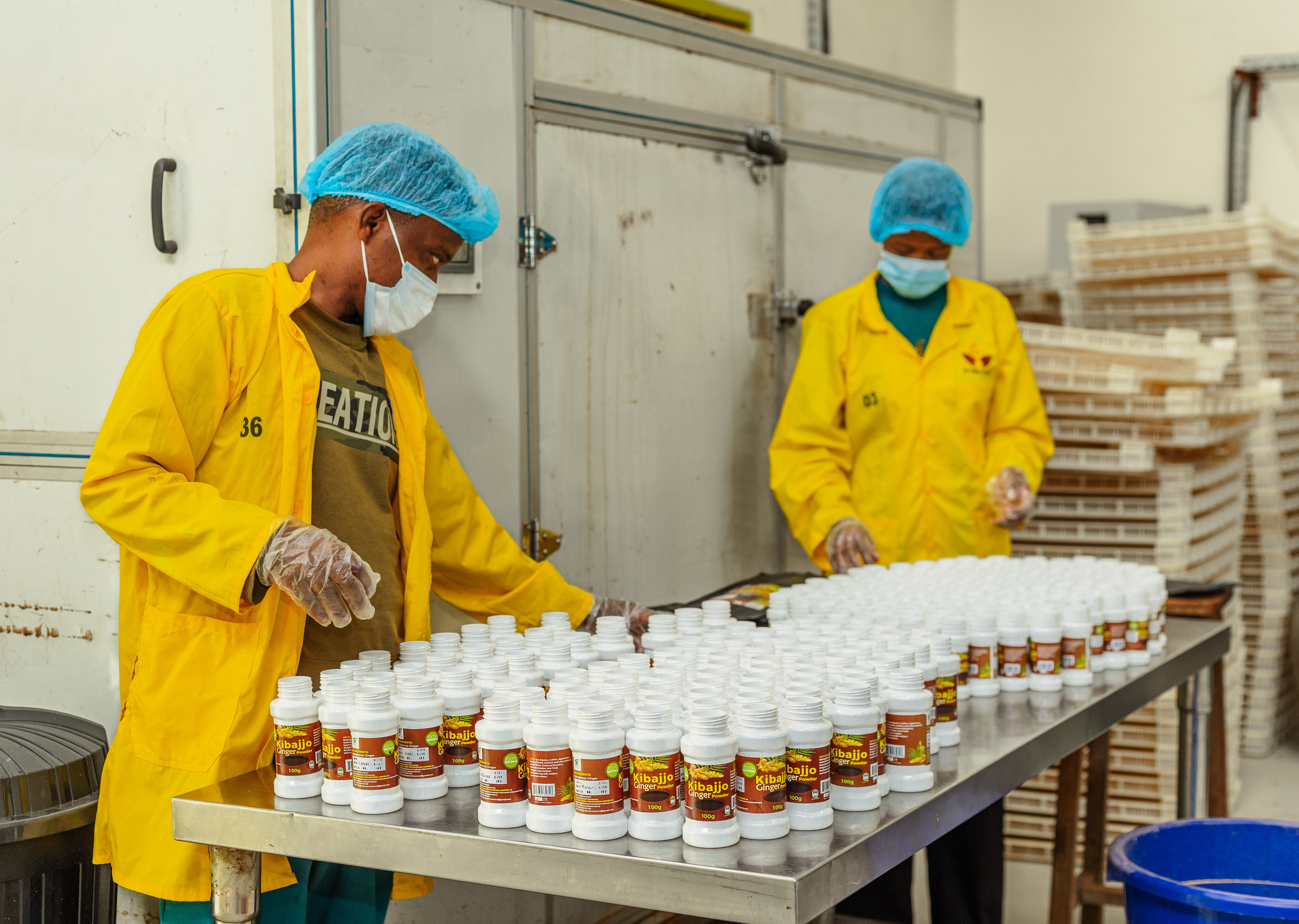 Kibajjo team members arranging finished ginger shakers for inspection
