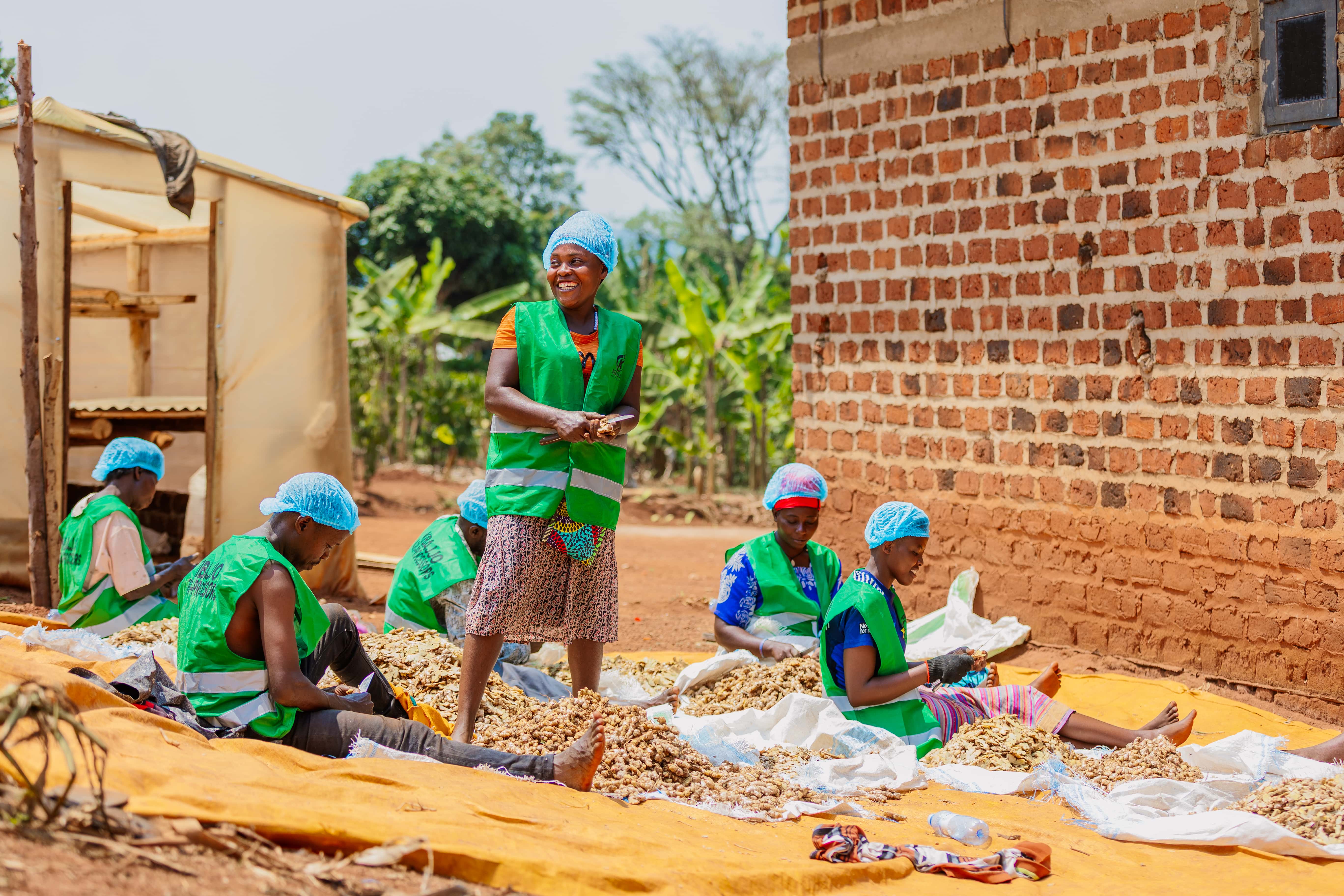 Farmers at work